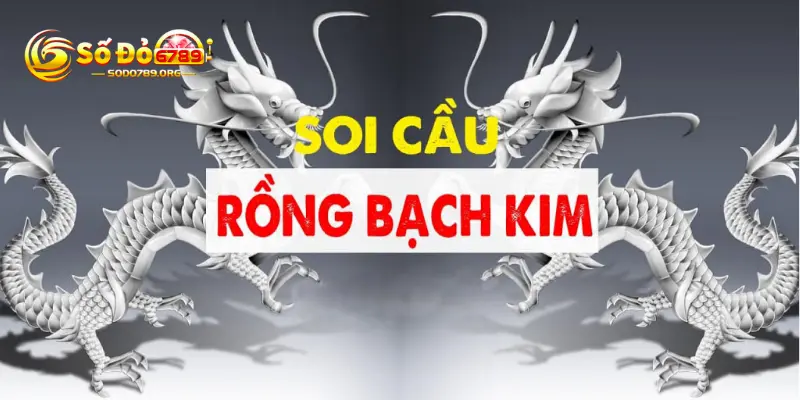 Soi cầu xổ số rồng bạch kim chuẩn nhất cho tân thủ 2 Tìm hiểu xổ số rồng bạch kim là gì?